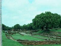 Sarnath