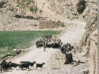 On the road to Bamiyan