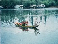 Flower vendor